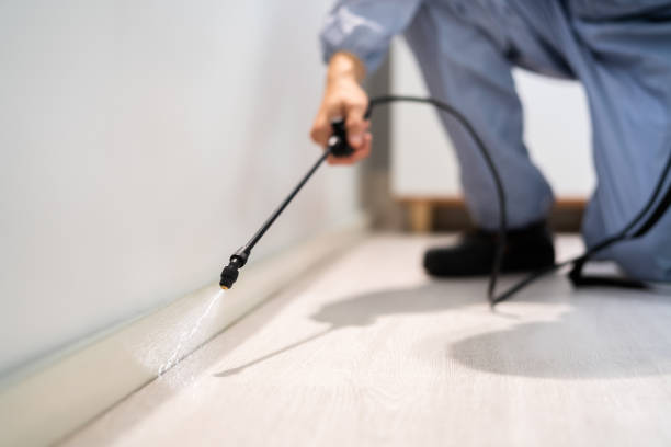 Licensed Pest Control service in Roseland, LA - Show Me Pest Control